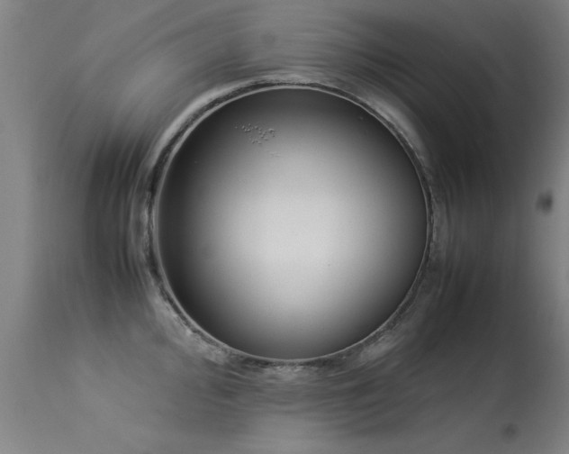 X0000113371000200909221219