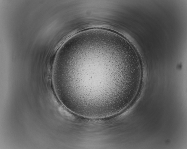 X0000113371001200909221219