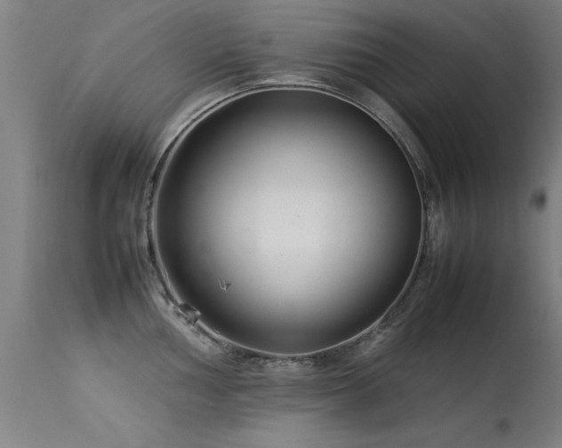 X0000113371002200909221219