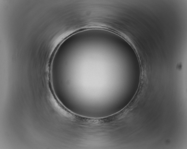 X0000113371003200909221219