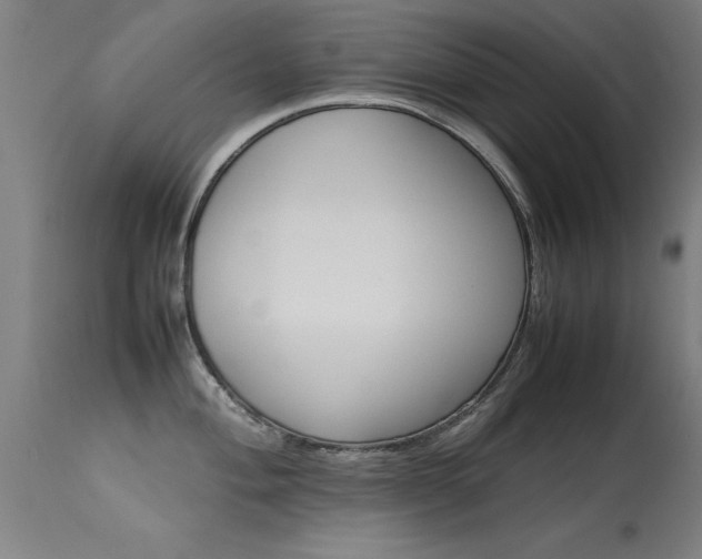 X0000113371004200909221219
