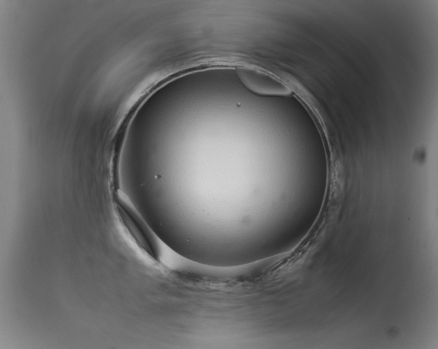 X0000113371005200909221218