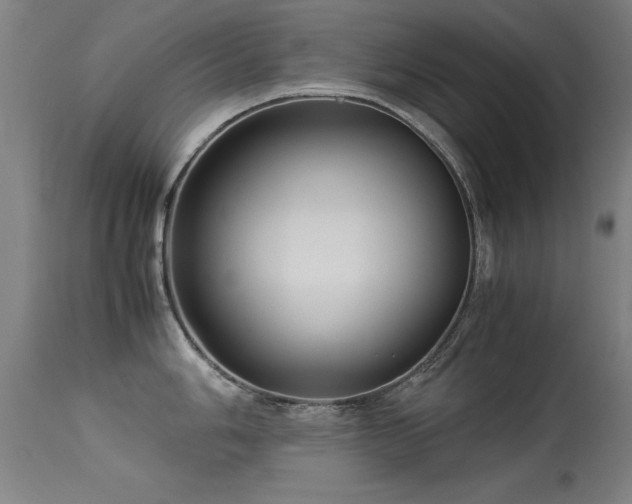 X0000113371006200909221218