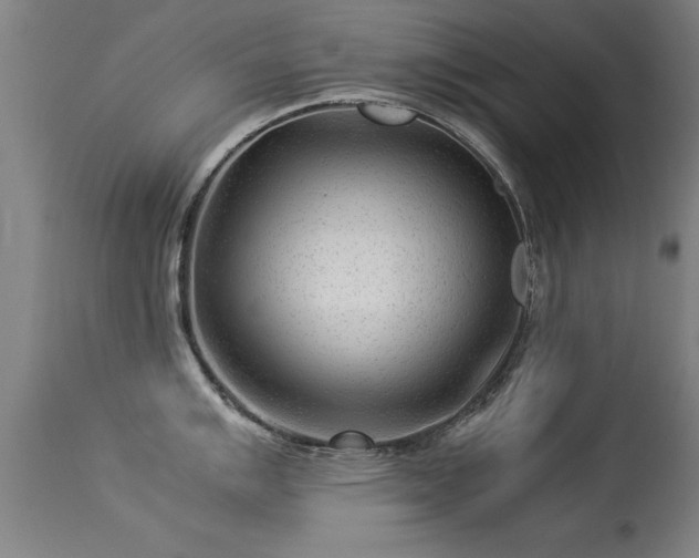 X0000113371007200909221218