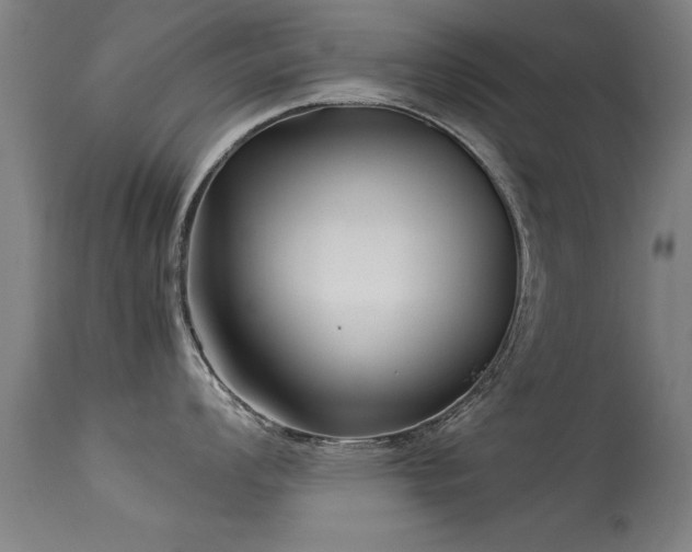 X0000113371008200909221218