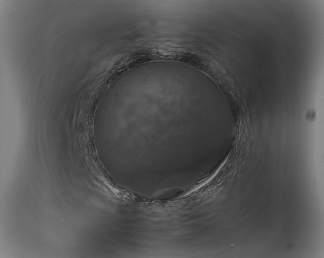X0000113371009200909221218