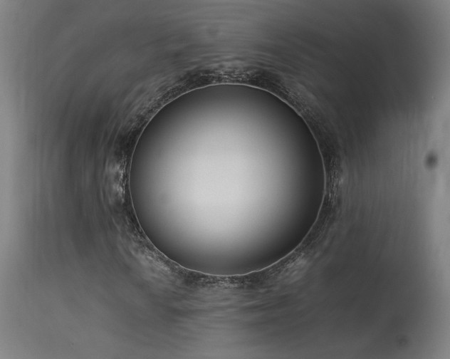 X0000113371010200909221218