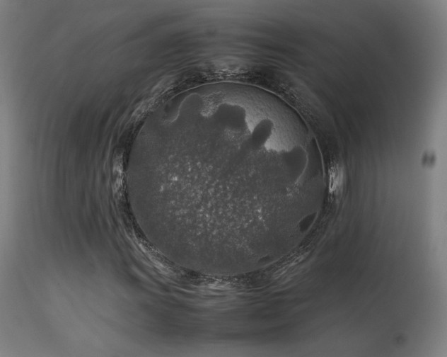 X0000113371011200909221218