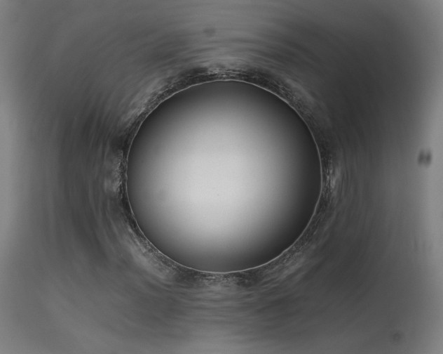 X0000113371012200909221218