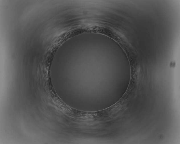 X0000113371013200909221218