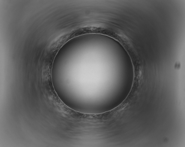 X0000113371014200909221218