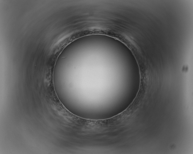 X0000113371015200909221218