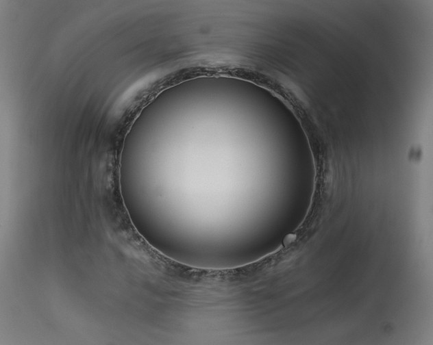X0000113371016200909221218