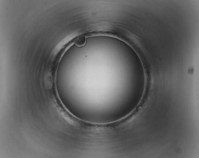 X0000113371018200909221218