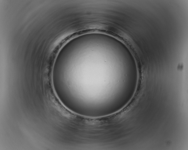 X0000113371019200909221218