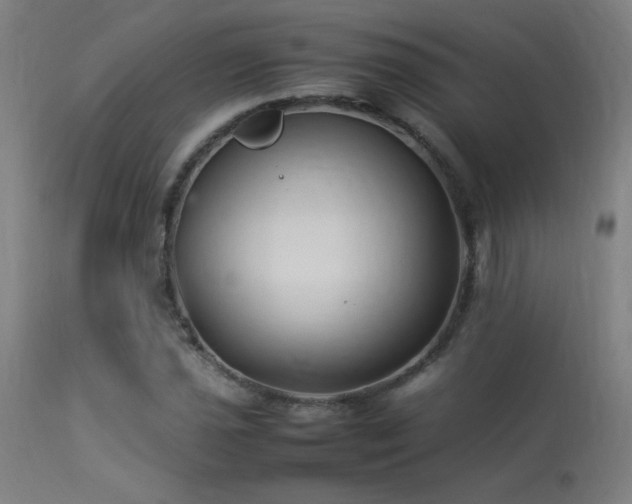 X0000113371021200909221218