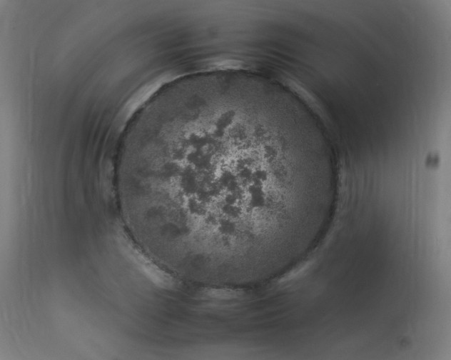 X0000113371023200909221218