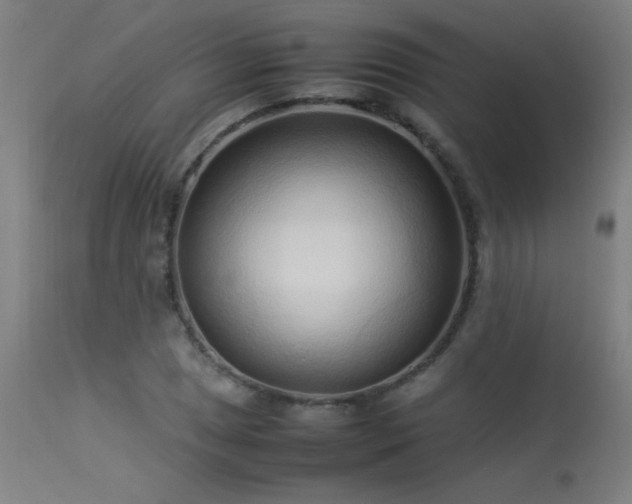 X0000113371025200909221218