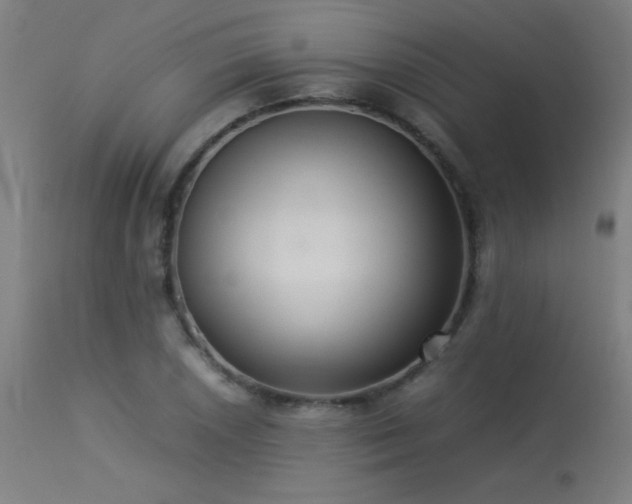 X0000113371026200909221218