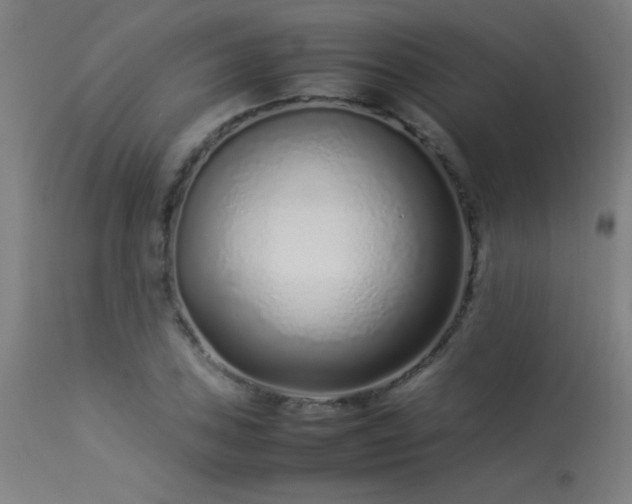 X0000113371027200909221218