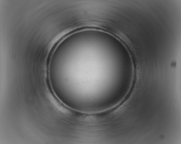 X0000113371028200909221218