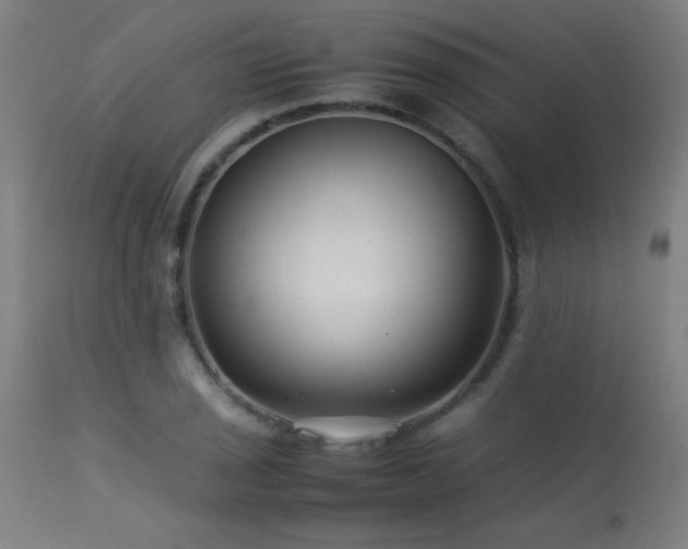 X0000113371029200909221218