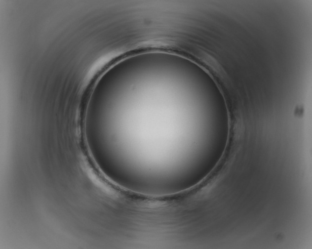 X0000113371030200909221218