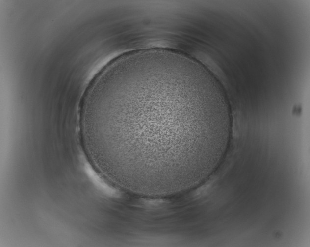 X0000113371031200909221218