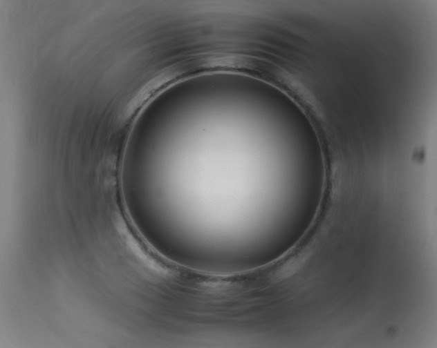 X0000113371033200909221218