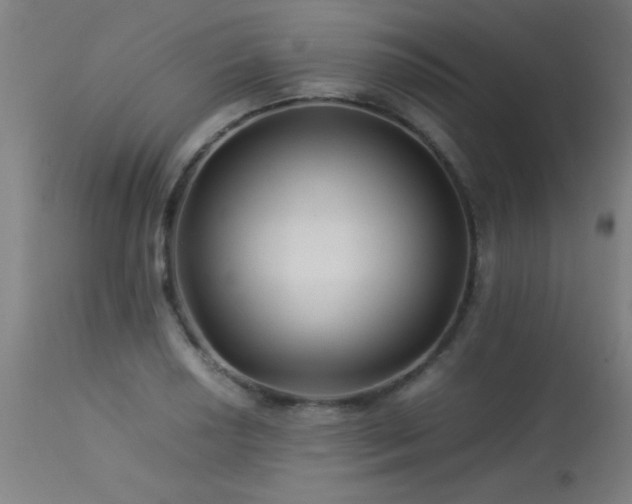 X0000113371034200909221218