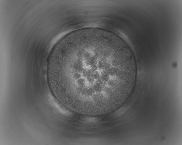 X0000113371035200909221218