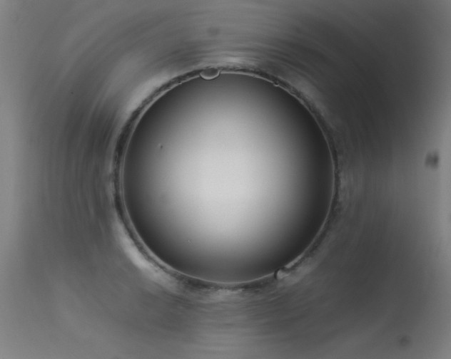 X0000113371038200909221218