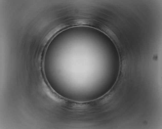X0000113371039200909221218