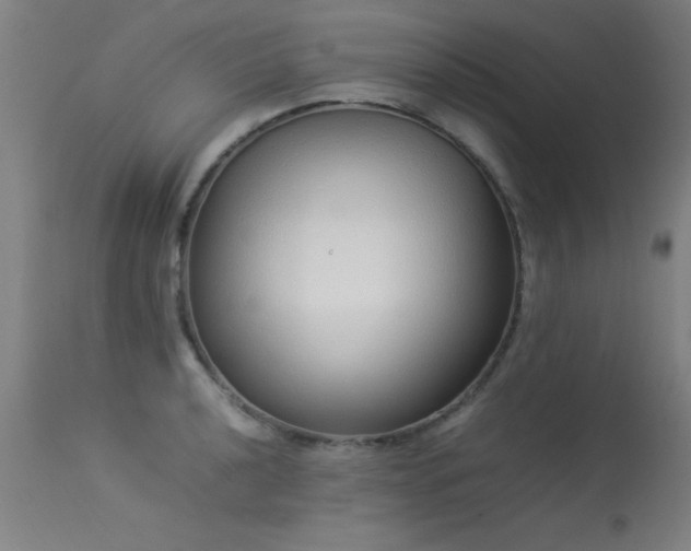 X0000113371040200909221218