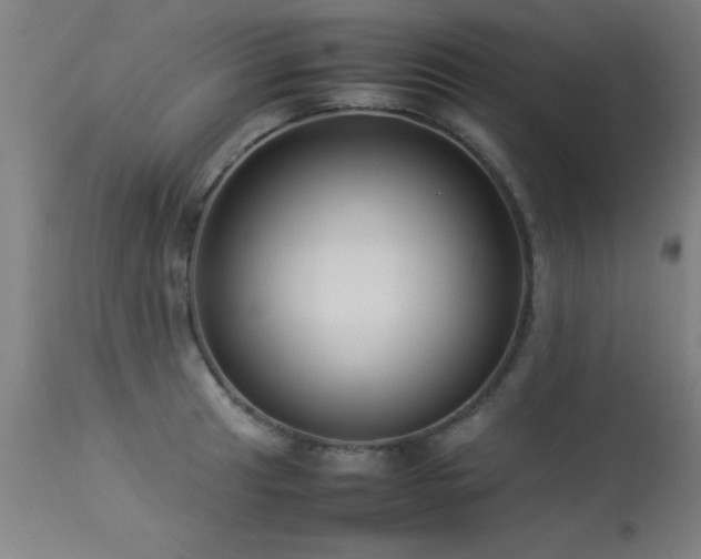 X0000113371041200909221218