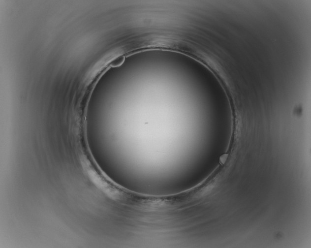 X0000113371042200909221218