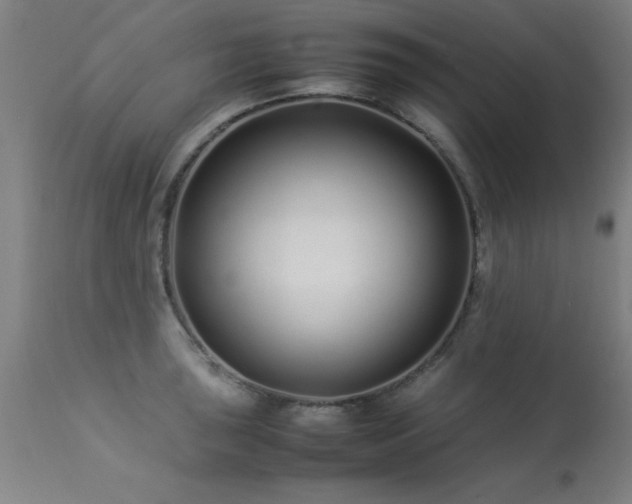X0000113371043200909221218