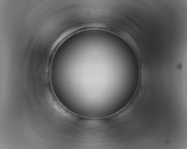 X0000113371044200909221218