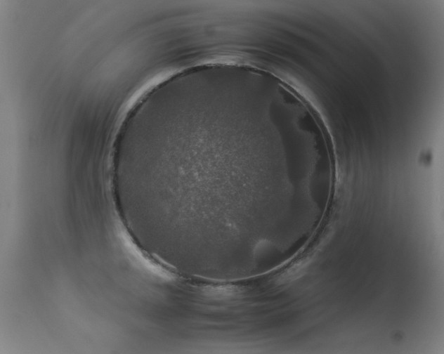 X0000113371045200909221218