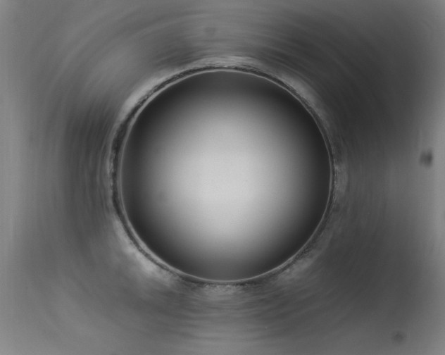 X0000113371046200909221218