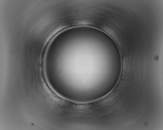 X0000113371047200909221218