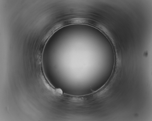 X0000113371049200909221218