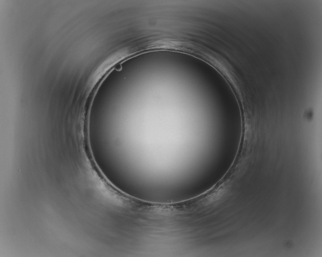 X0000113371050200909221218