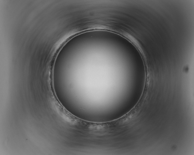 X0000113371051200909221218