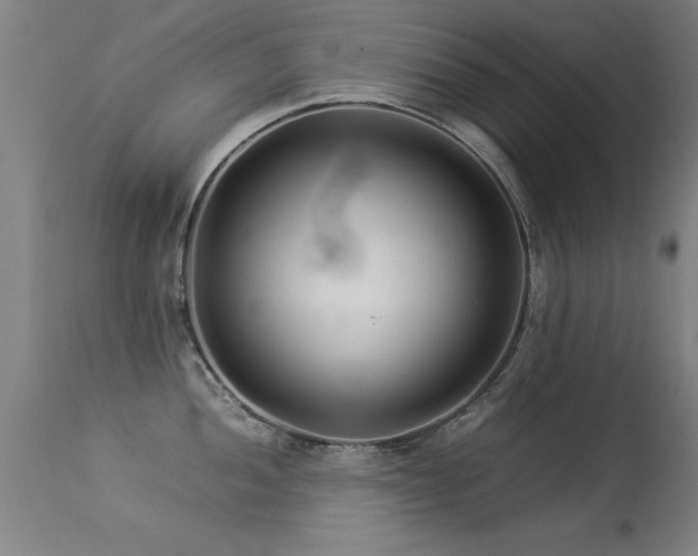 X0000113371052200909221218