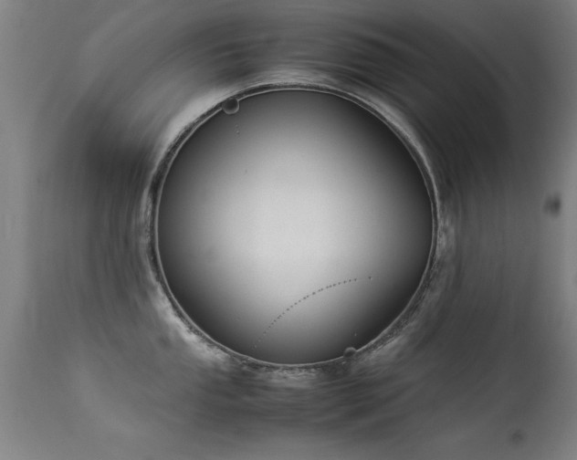 X0000113371053200909221218