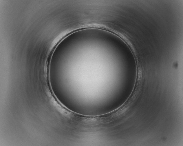 X0000113371054200909221218