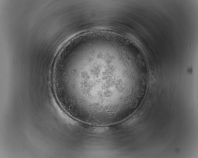 X0000113371055200909221218