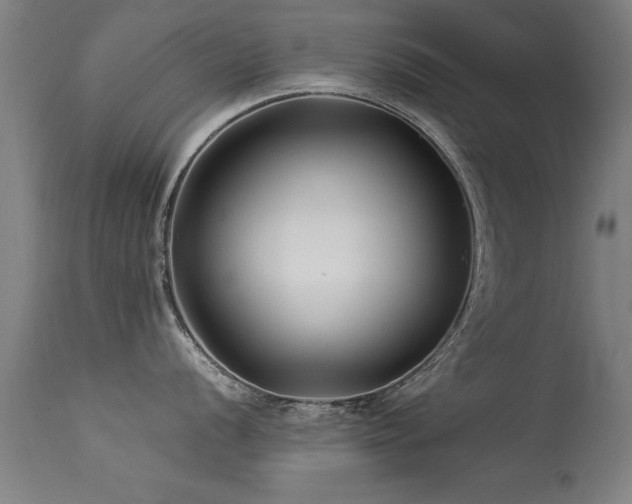 X0000113371056200909221218