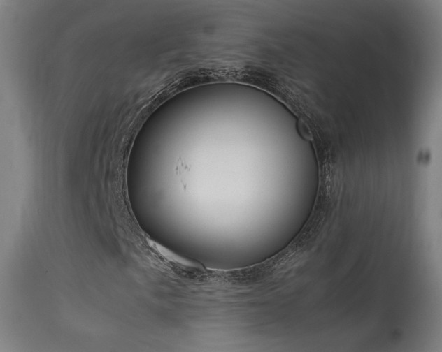 X0000113371057200909221218
